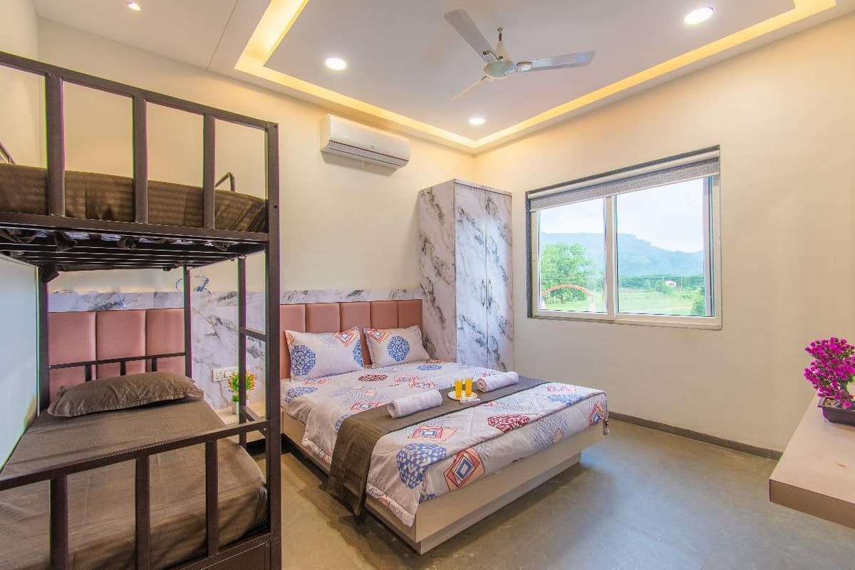 Lush green garden area